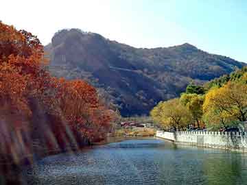 新澳天天开奖资料大全旅游团，换车牌号